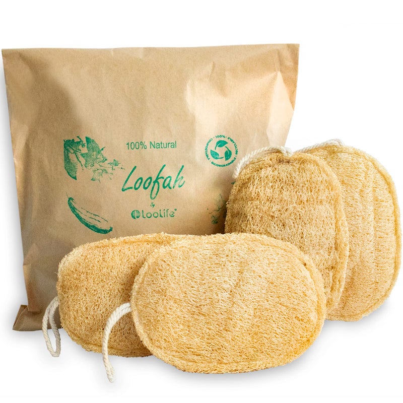 LooLife Natural Loofah Exfoliating Sponge (4 Pack) - Organic Loofah for Body - Biodegradable Shower Luffa - Natural Bath Sponges Loufa - Estropajos para el Cuerpo - Image 1